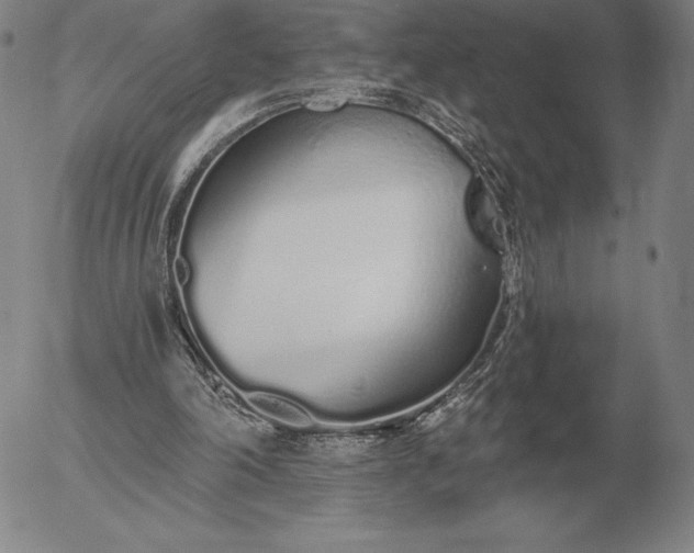 X0000056030198200509021830