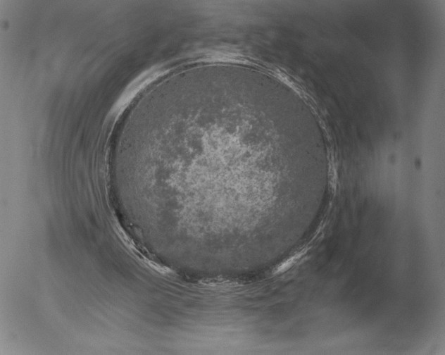 X0000056030199200509021830