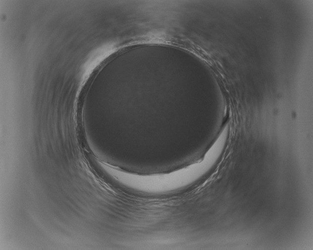 X0000056030200200509021830