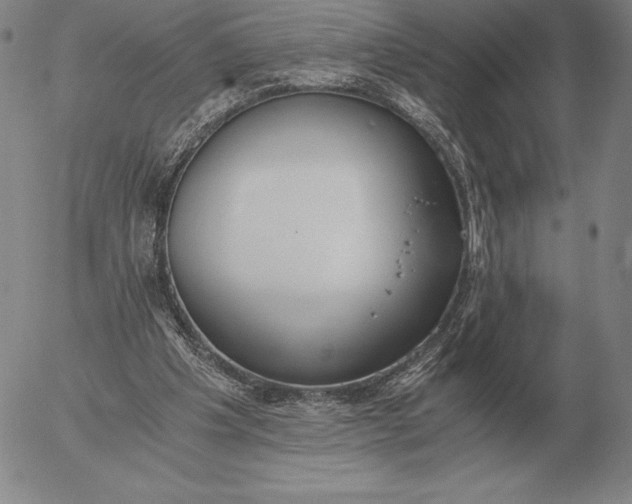 X0000056030201200509021830