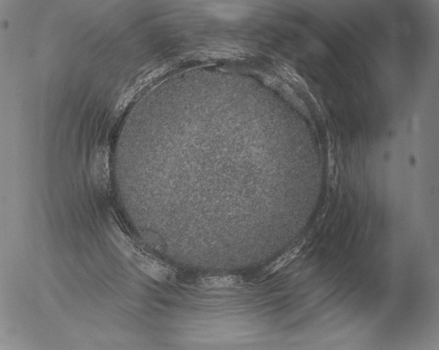 X0000056030202200509021830