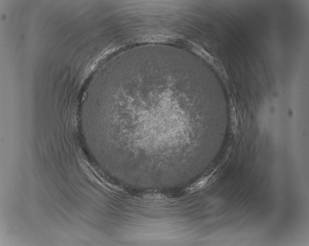 X0000056030203200509021830