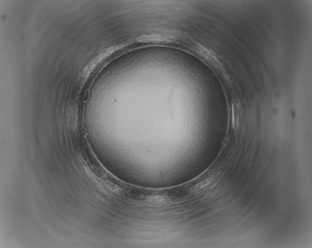 X0000056030204200509021830