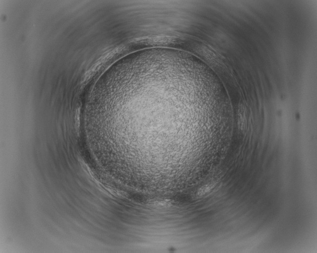 X0000056030206200509021830