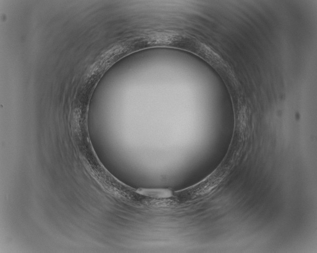 X0000056030209200509021830