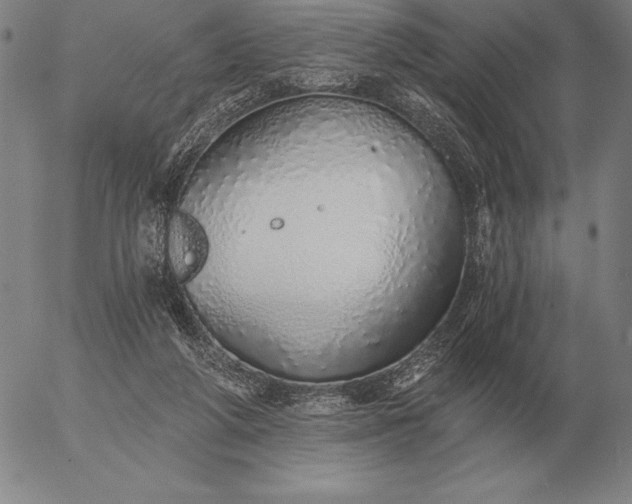 X0000056030210200509021830