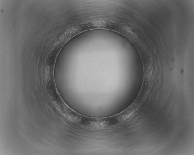 X0000056030213200509021830