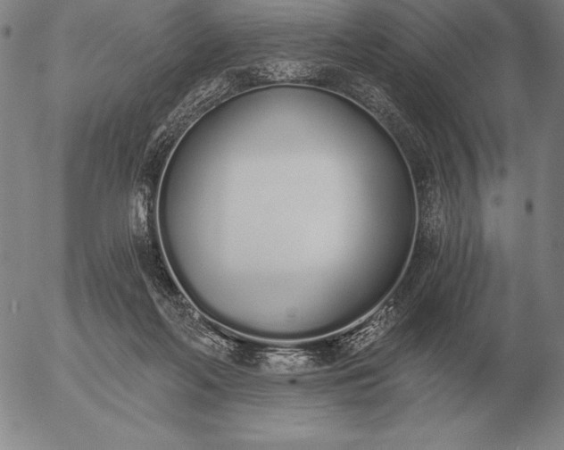 X0000056030214200509021830