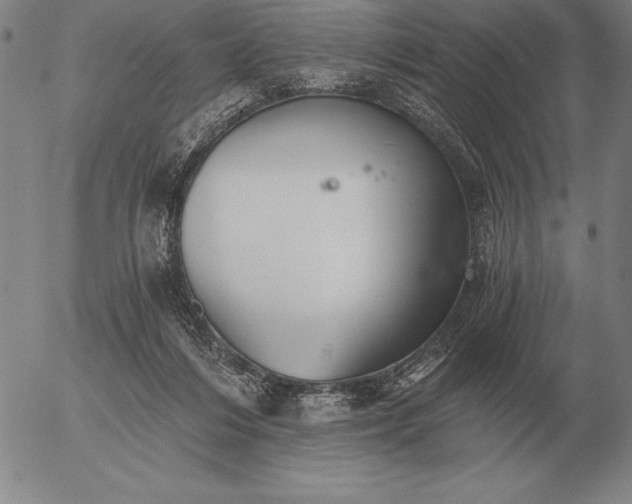 X0000056030216200509021830