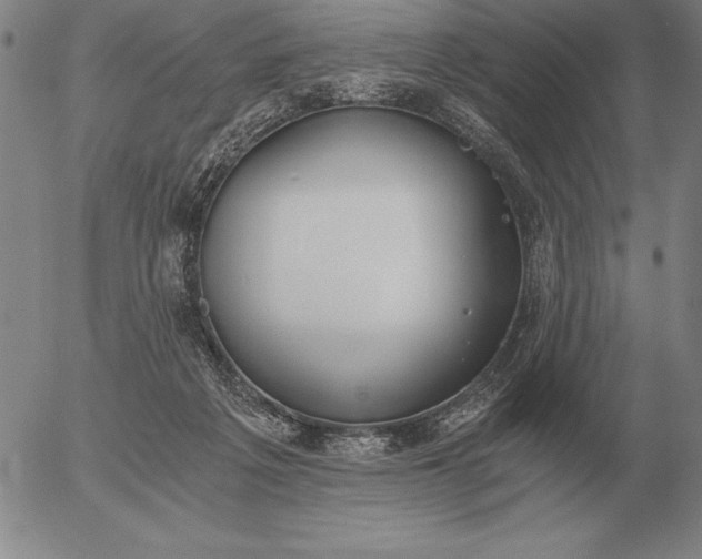 X0000056030217200509021830