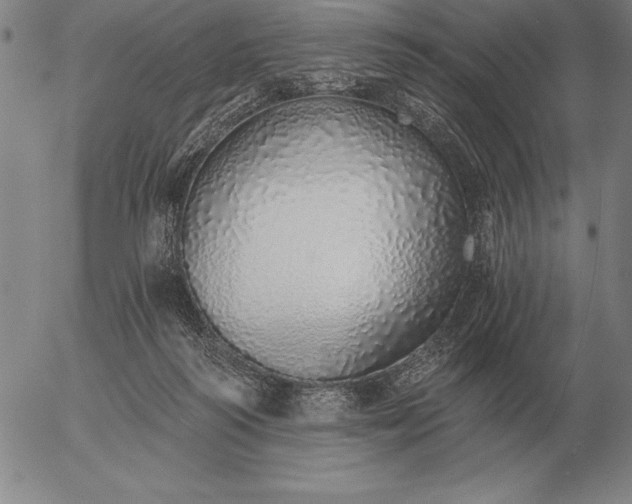 X0000056030218200509021830