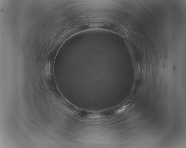 X0000056030219200509021830