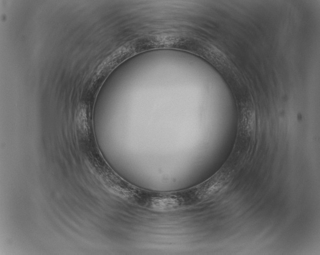 X0000056030220200509021830