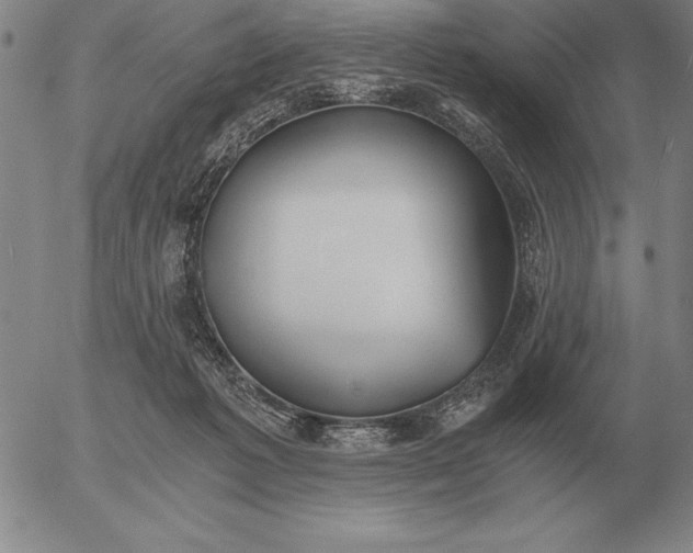 X0000056030221200509021830