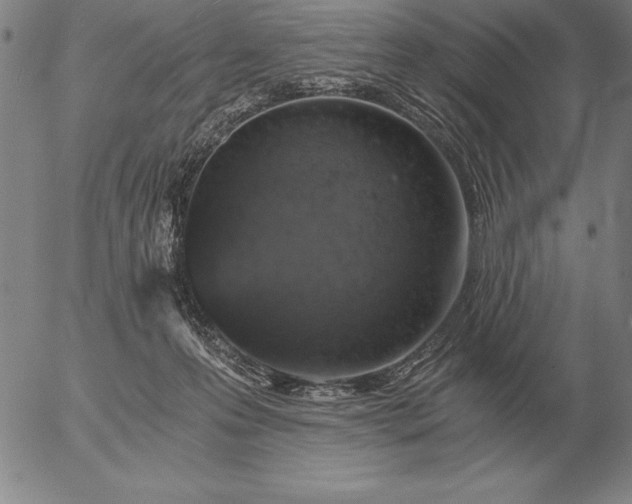 X0000056030223200509021830