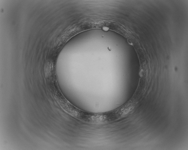 X0000056030225200509021830