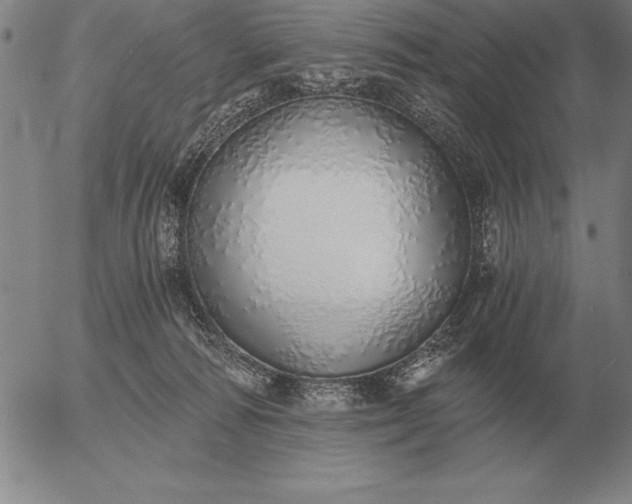 X0000056030226200509021830