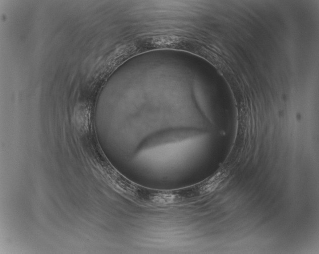 X0000056030227200509021830