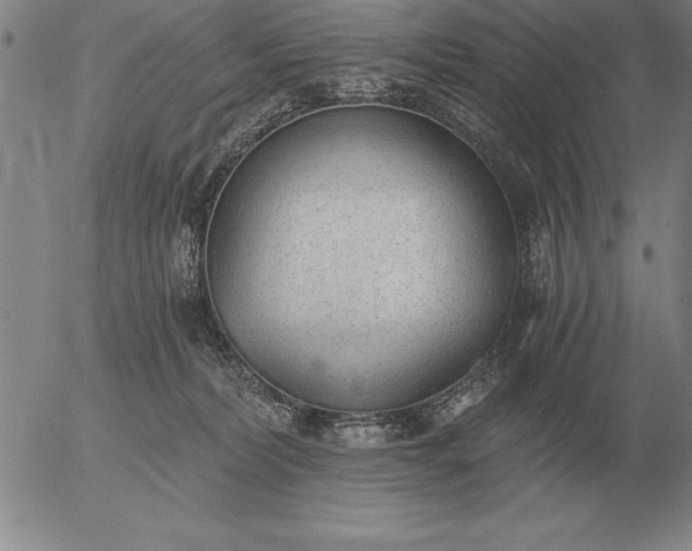 X0000056030228200509021830