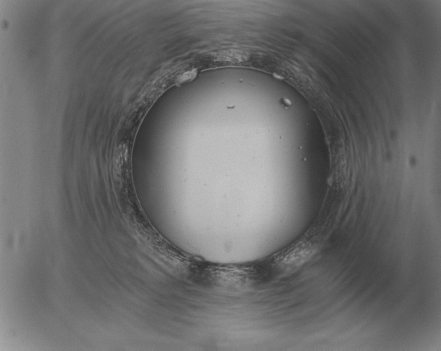 X0000056030229200509021830