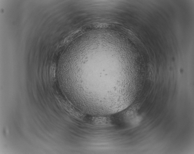 X0000056030230200509021830