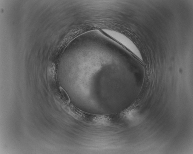 X0000056030231200509021830