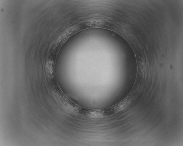 X0000056030232200509021830