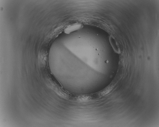 X0000056030235200509021830