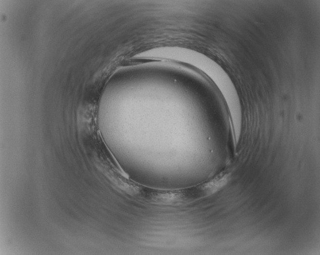 X0000056030237200509021830