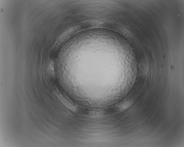 X0000056030238200509021830