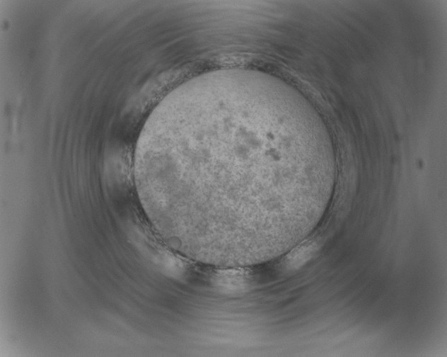 X0000056030240200509021830