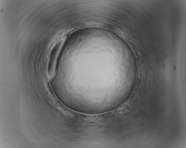 X0000056030241200509021829