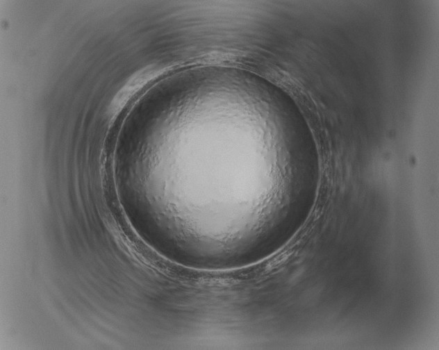 X0000056030242200509021829