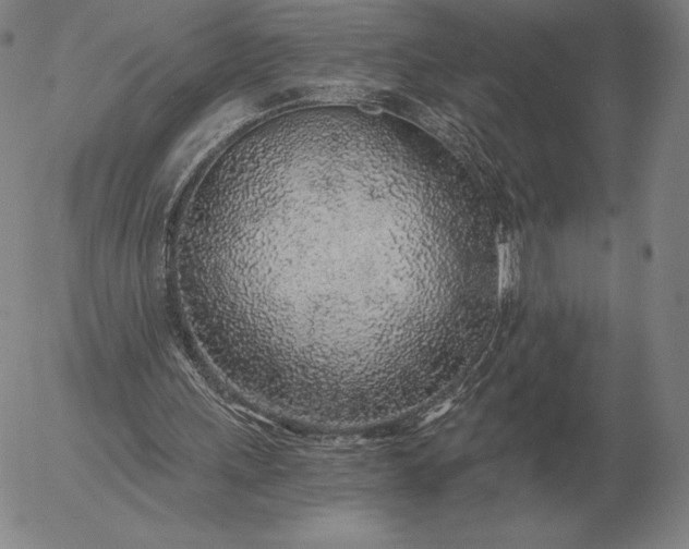 X0000056030243200509021829