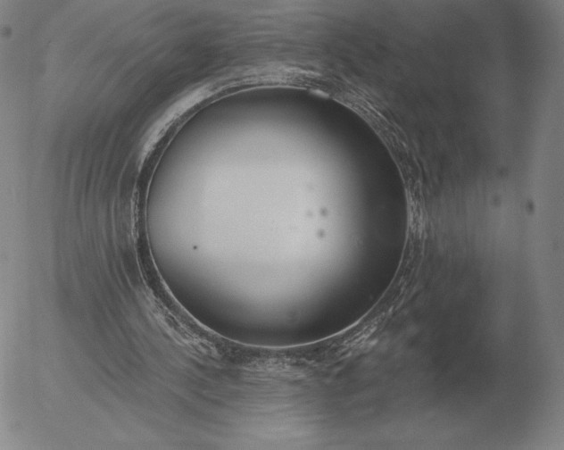 X0000056030244200509021829