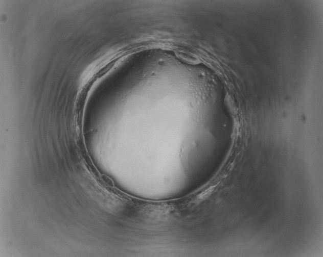 X0000056030245200509021829