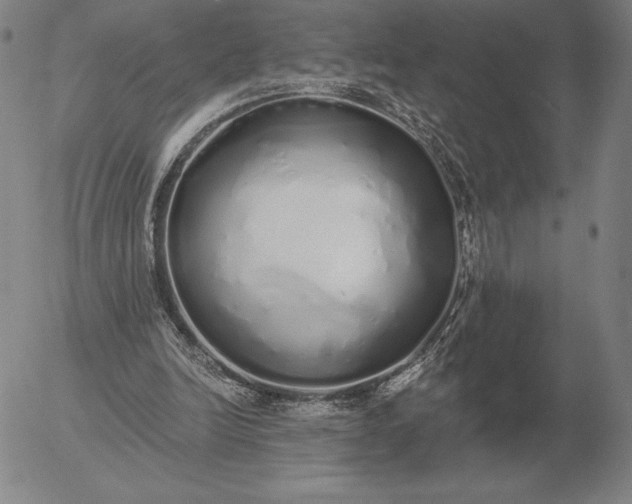 X0000056030246200509021829