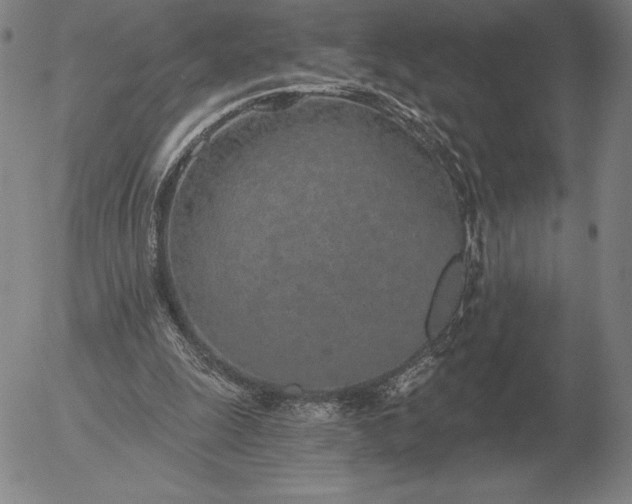 X0000056030247200509021829