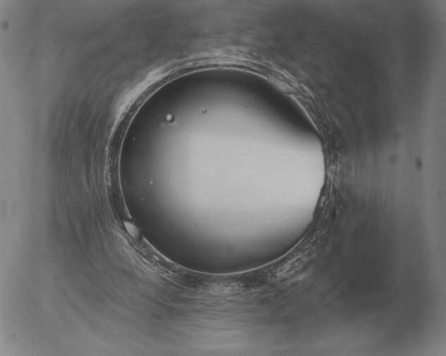 X0000056030248200509021829