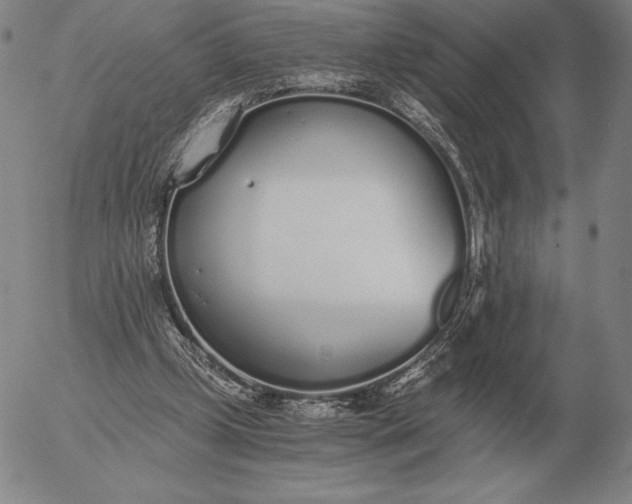 X0000056030249200509021829