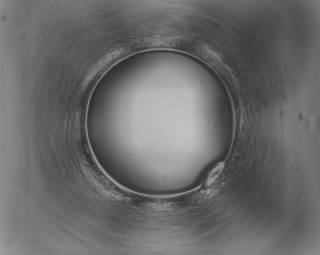 X0000056030250200509021829