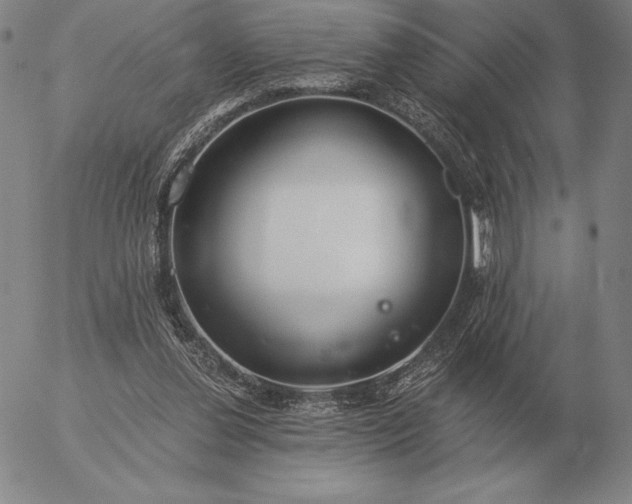 X0000056030252200509021829