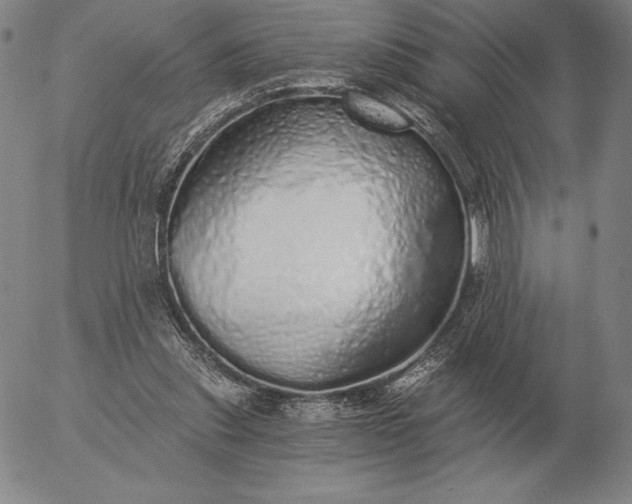 X0000056030253200509021829