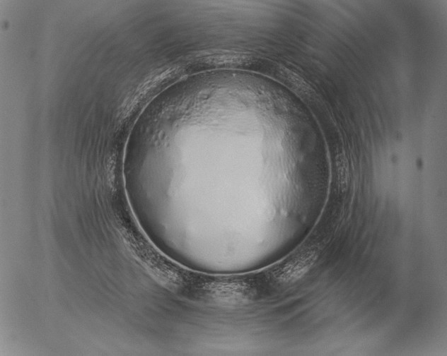 X0000056030255200509021829