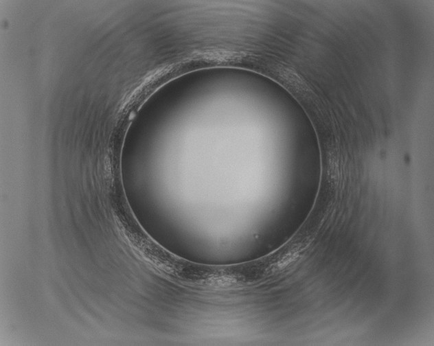 X0000056030256200509021829