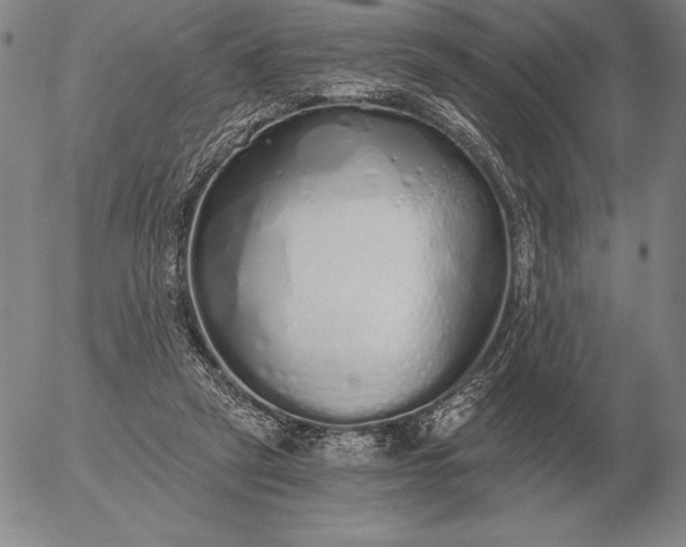 X0000056030257200509021829