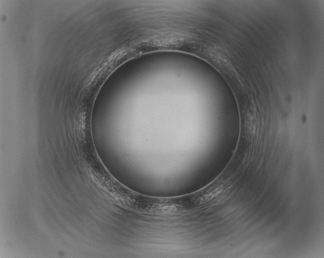 X0000056030260200509021829