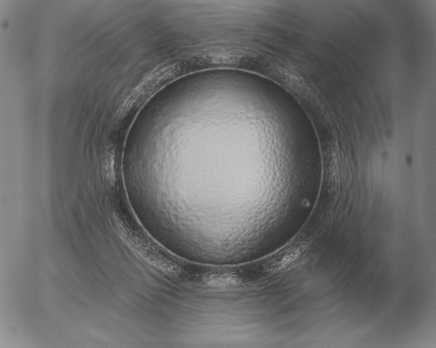 X0000056030262200509021829