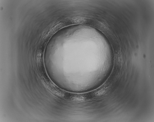 X0000056030263200509021829