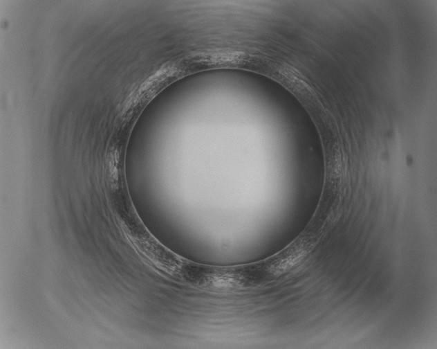 X0000056030264200509021829